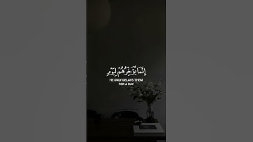 استخدموا الصوت 🖤🙂/ #القارئ_عبدالرحمن_مسعد #تلاوة_خاشعة #اجر #karim_quran_1 #quran