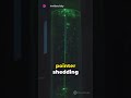 Bending Light: A Journey Through Refraction #light #science #physics