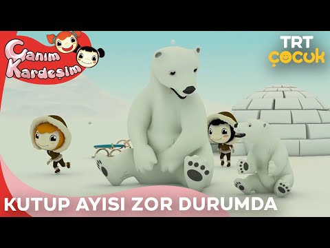 TRT ÇOCUK / CANIM KARDEŞİM / KUTUP AYISI ZOR DURUMDA