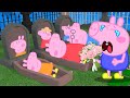 Peppa pig cartoon when peppa sees a blind person crossing the street alone what will peppa do