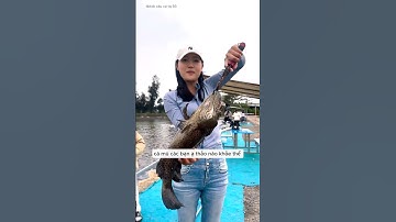 anh chủ hồ định bắt nạt tiểu vũ nhưng không thành công bị tiểu vũ bật lại và cái kết  #fishing