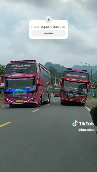 story'WA bus nabil trans salju fikri vs bus aneka bintang javans queen #automobile #busmania #basuri
