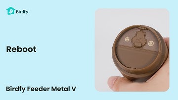 Reboot - Birdfy Feeder Metal V Tutorial