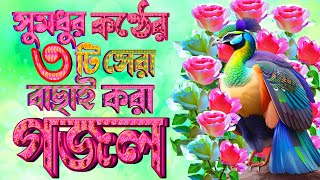 মধুর সুরের সেরা তিনটি হৃদয়স্পর্শী গজল | মন প্রান উজাড় করা গজল |Three Selected Heart Touching Gojol