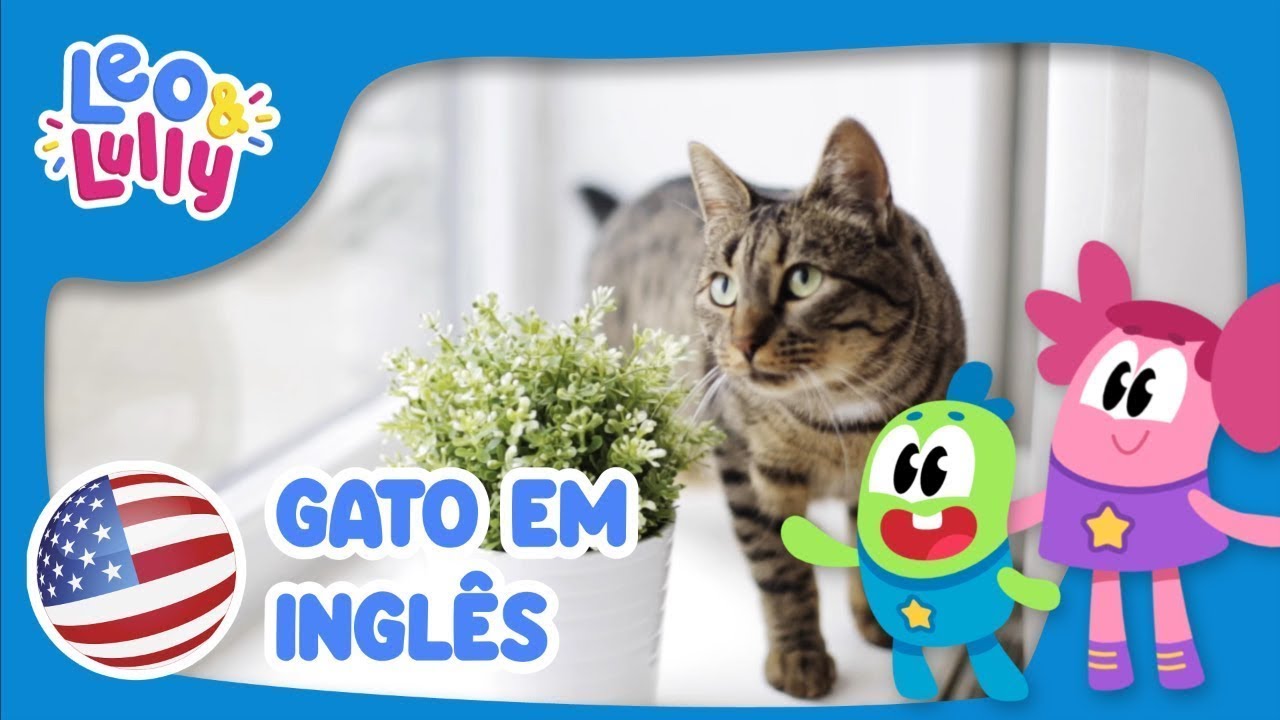 Gatos falando em português e inglês tente não rir! . . . . #gatosengr