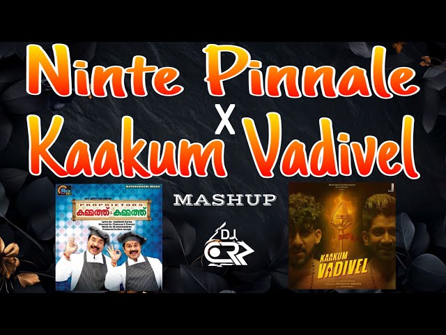 Ninte Pinnale X Kaakum Vadivel🔥| Mashup | Vaaheesan | M. Jayachandran | DJ CRZ