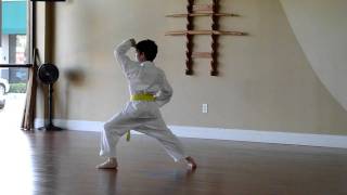 20110412 - Luc's Karate Heian Neidan Kata Tournament Practice