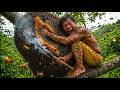 Better Than a Ninja? Climbing a Giant Tree for Wild Honey Hunting