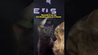 Esse gato resume bem a cara dos fãs quando o set acaba rápido #catdealers