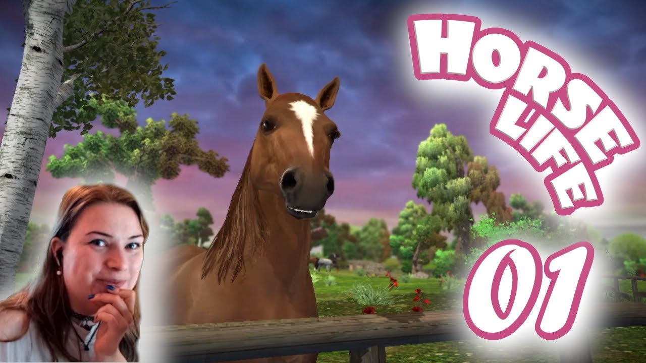 Das gibts nicht! Unser erstes eigenes Pferd! - Lets Play Horse Life #01 