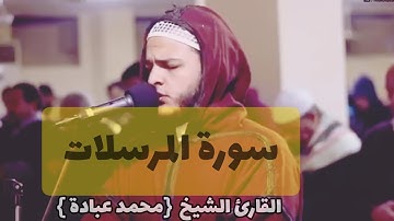 سورة المرسلات | محمد عبادة تلاوة خاشعة تريح القلوب |  جودة عالية HD