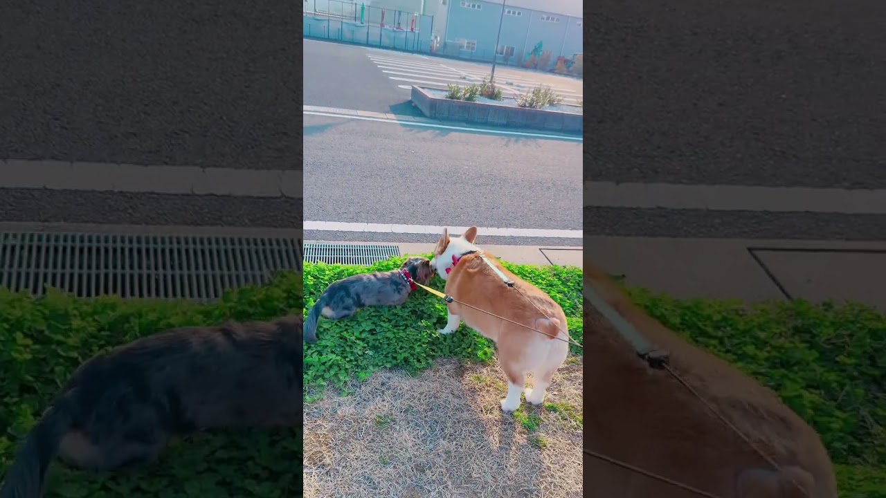 なかなか笑わないから😅笑顔を見ると嬉しくなります❤️