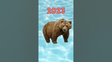2023 Brown bear vs 5000 bce Brown bear