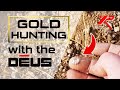 GOLD HUNTING with the XP DEUS | METAL DETECTING