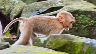 Little Boy Robin Cries After Waking Up, Not Finding His Mom Rose