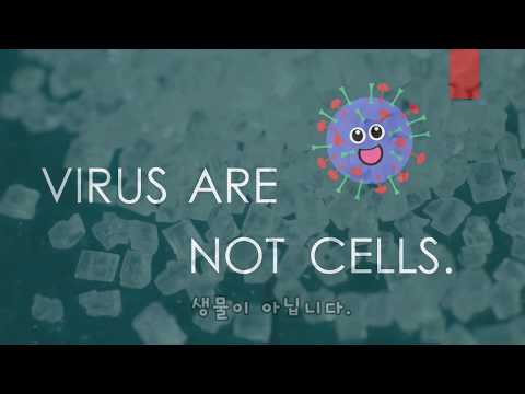 What is Virus |  바이러스란 무엇인가? | [2020 생명과학1] 바이러스 - 4강