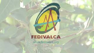 Emprendedores de FEDIVALCA: Frutas Valdejalón