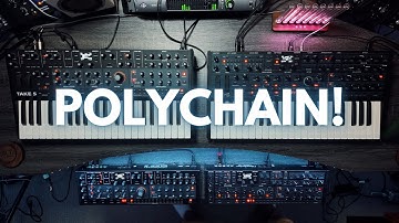 Take 5 & TEO-5 Firmware Update // First Look + Demo (Polychain, New Features & Sounds)