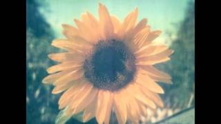 Elizabeth Mitchell - You Are My Sunshine chords