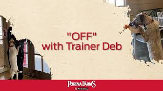 Teaching Your Dog “OFF” by Purina Farms 121 views 3 years ago 56 seconds