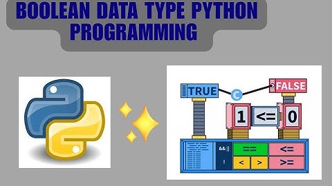 Data Type in Python Programming | Boolean type |  Intelligence Logic