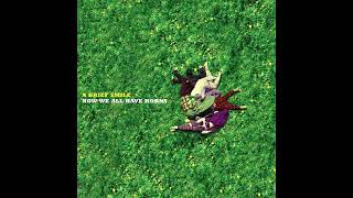 A Brief Smile - Hold Tight, Electric Willows