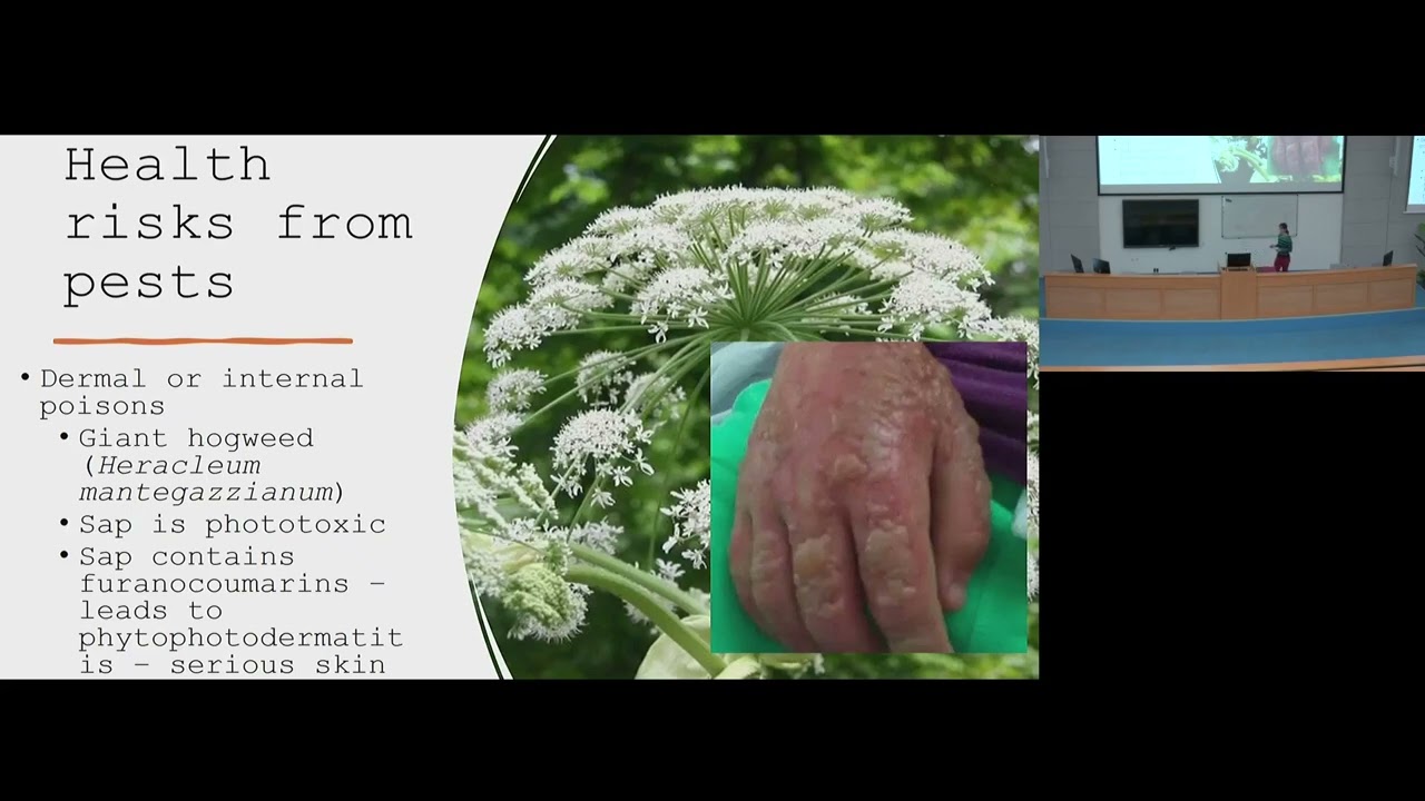 Lecture 7 | Agricultural Systems I (AHA29E)