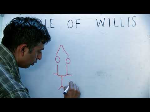 Wideo: Circle Of Willis - Rozwój, Leczenie, Objawy