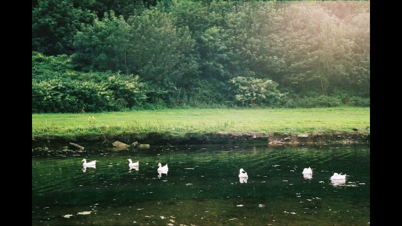 [Lyrics/Vietsub] Oh It’s You - babychair