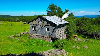 видео: Заброшенный на 25 лет: мужчина отремонтировал кишащую крысами деревянную хижину и спрятался внутри картинка: Заброшенный на 25 лет: мужчина отремонтировал кишащую крысами деревянную хижину и спрятался внутри