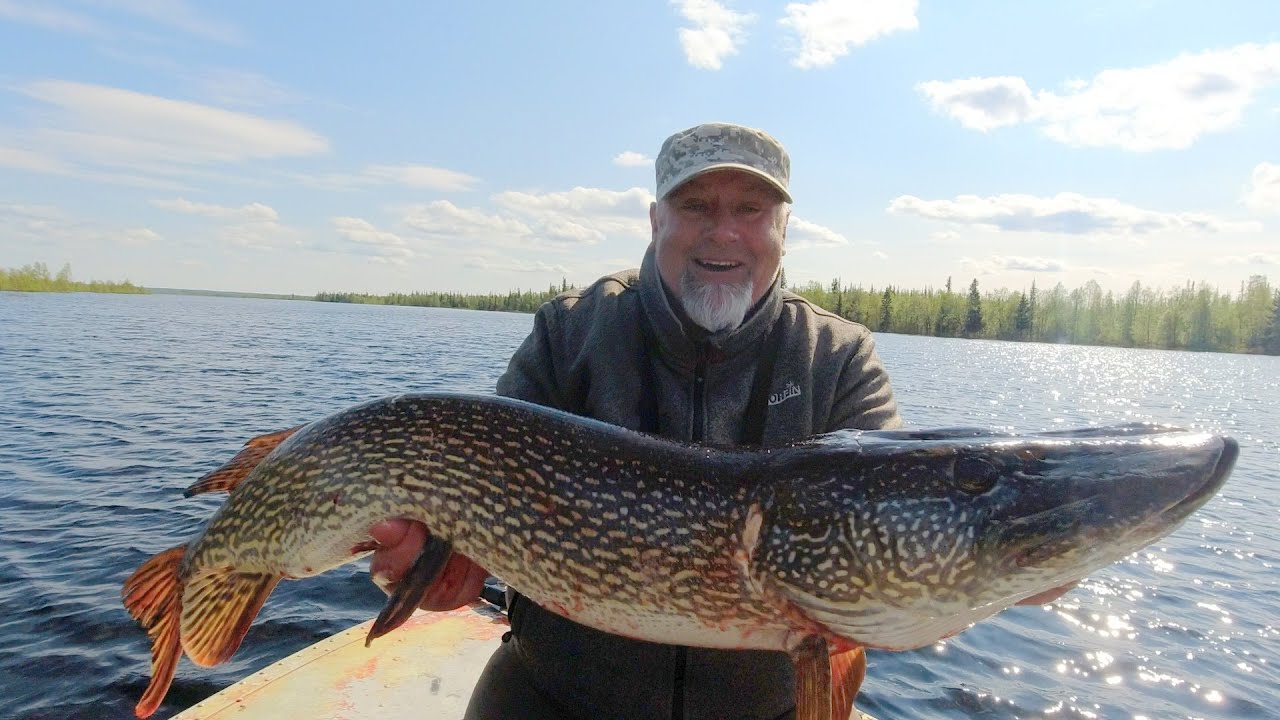Пошумим, или как поймать трофей! Невероятно!