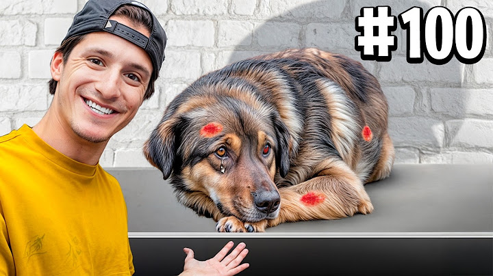 RESCATÉ A 100 PERROS ABANDONADOS !!