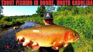 Trout Fishing Boone North Carolina