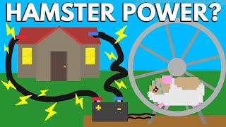 How Much Power Can We Generate With Hamsters? ⚡