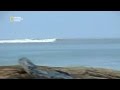 Le tsunami du 26 dcembre 2004  top 100 catastrophes naturelles