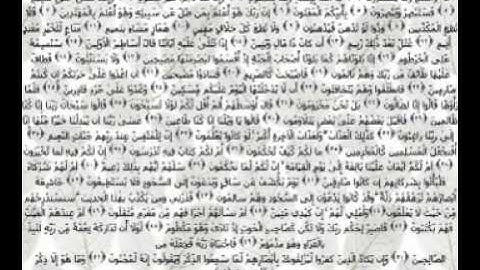 تلاوة خاشعة سعد الغامدي - سورة القلم - جودة عالية
