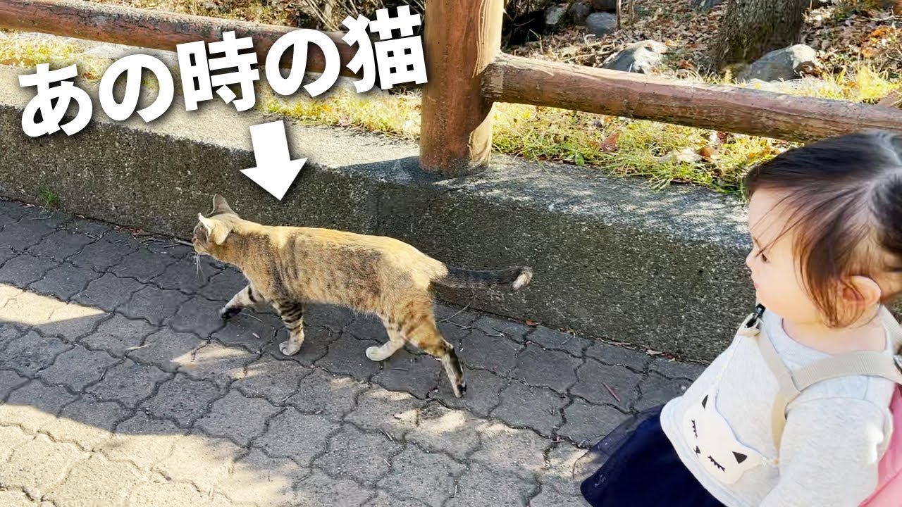 目に映るもの全てが新鮮！猫についていく好奇心旺盛な1歳娘