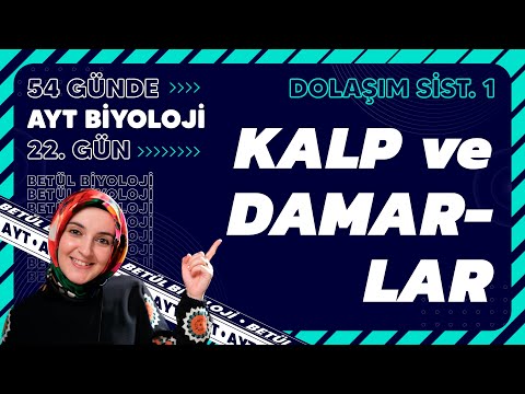 22) Kalp ve Damarlar | Dolaşım Sistemi | 11. Sınıf Biyoloji | 2024 AYT Biyoloji Kampı 22. Gün