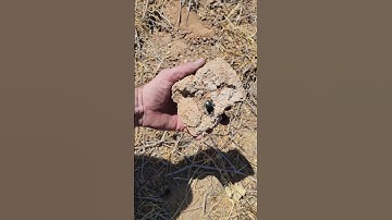 Would you be able to find this magnetic Nano smiley?!👀🤪 #Geocache #viral