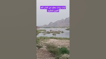 آيات بينات عطره من كتاب الله العزيز الحكيم #قران_كريم #قران_كريم #كتاب_الله #كن_مع_الله_ولا_تبالي