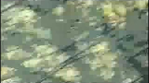 310 - "After All" Video