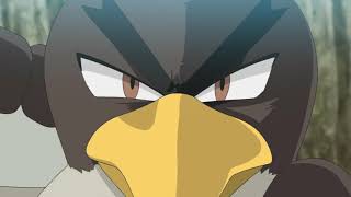 Galarian Farfetch'd Vs Gurdurr , KAMOON AMV