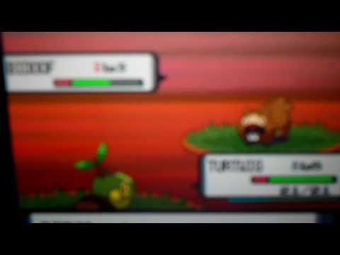 Pokemon Pearl Part 2- Dexter And More!