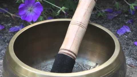 MBCT Body Scan (Long): Mindfulness Meditation Practice, MBCT Body Scan