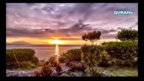 خشوع وبكاء الشيخ ياسر الدوسرى من سورة الإسراء