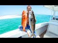 YBS Lifestyle Ep 47 - A Day Spearfishing Remote Australian Islands