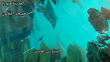 سورة المائدة || الشيخ زين العابدين || مسجد التعاون المدينة منورة || Surah Al-Ma’idah || @MadniZain