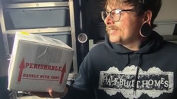 A Quick Blue Eyed Leucistic Ball Python Unboxing!