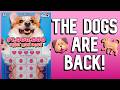 🐕The Dogs are Back to Play! $1,000,000 MUST LOVE DOGS! | New York Lottery Gameplay