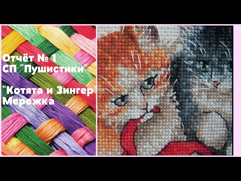 38. Отчет №.1 в СП